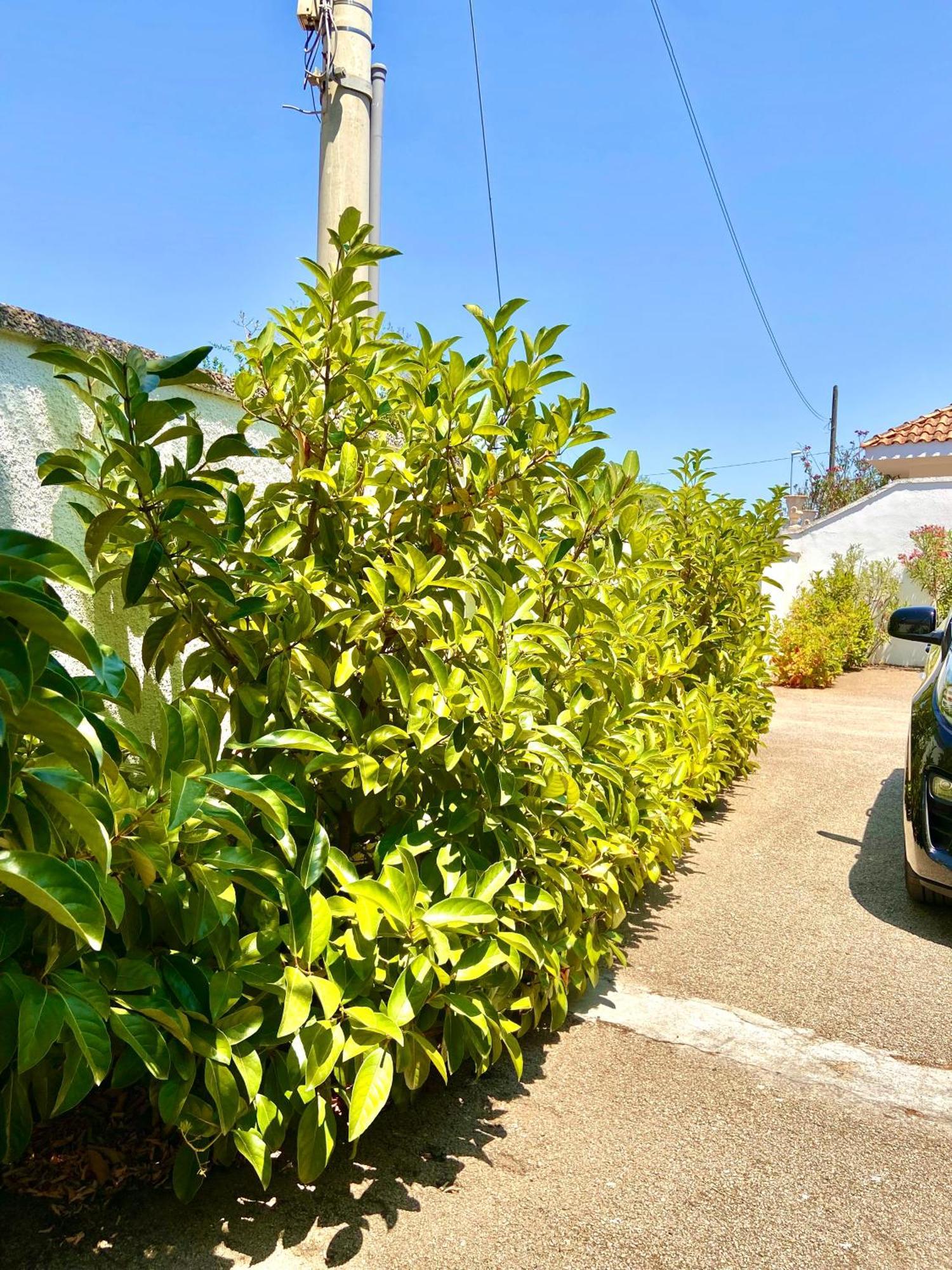 B&B Costa Azzurra Porto Cesareo Zewnętrze zdjęcie